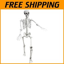 Life Size Pose-N-Stay Skeleton Halloween Decoration