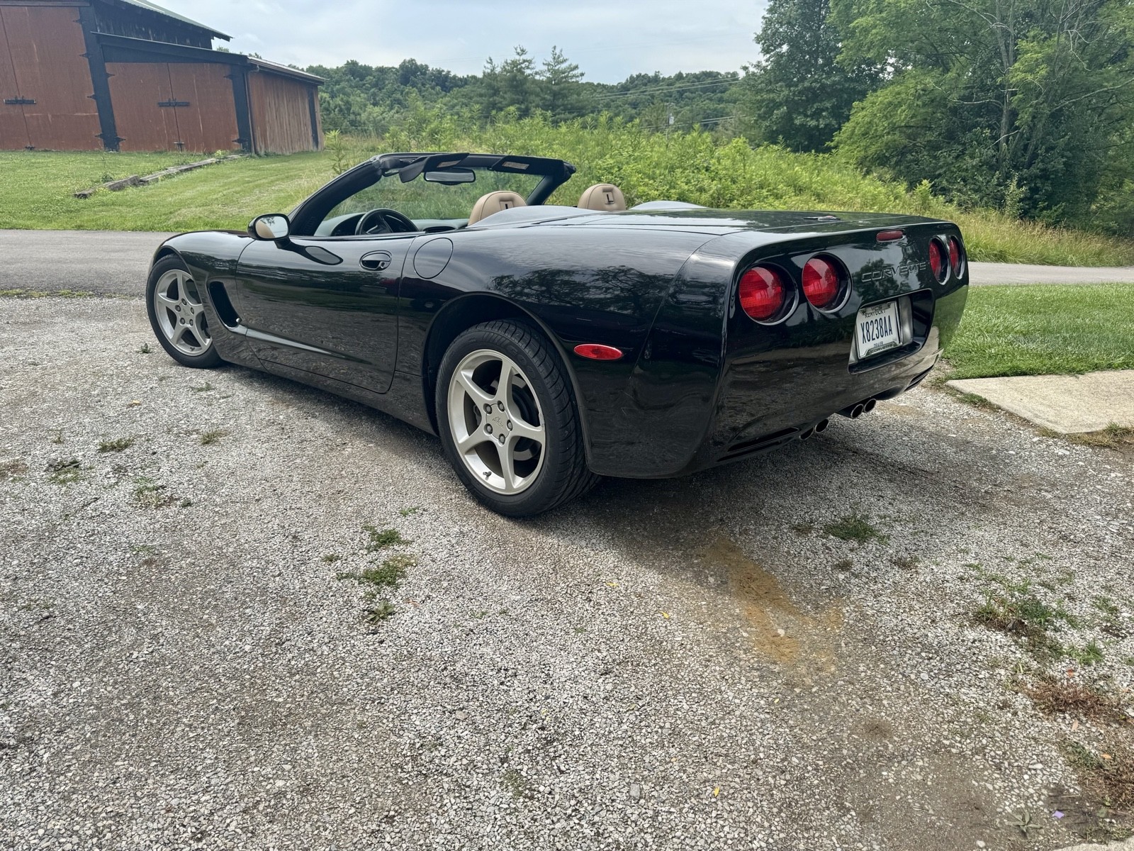 2001 Black Chevrolet Corvette   | C5 Corvette Photo 10