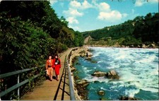 Niagara Falls Ontario Great Gorge Trip Whirlpool Rapids Boardwalk Postcard ON