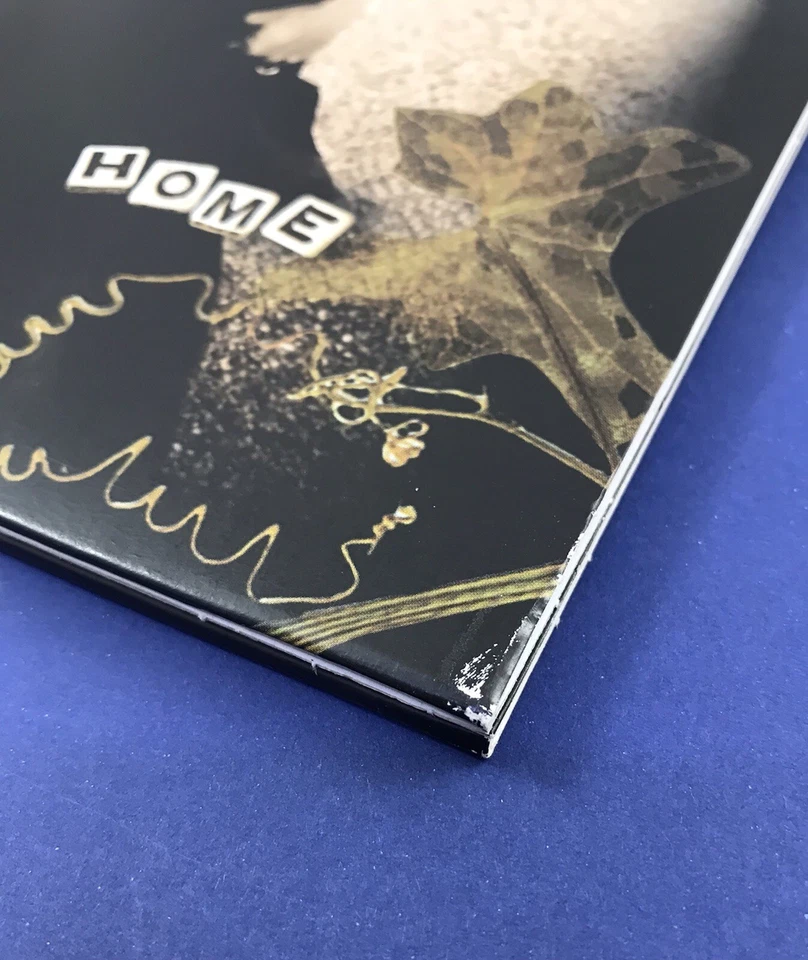 DIXIE CHICKS-HOME DOUBLE VINYL RECORD - image 2 of 4