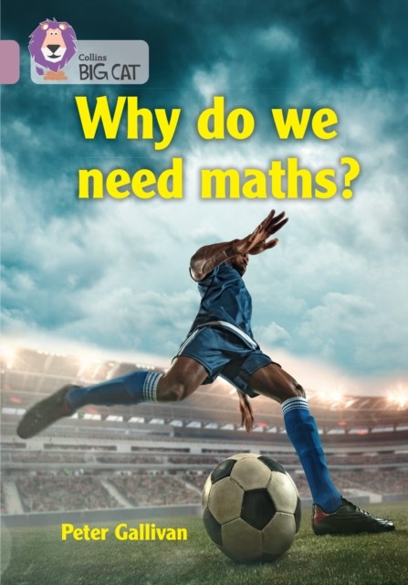 Why do we need maths? Band 18/Pearl by Peter Gallivan (Paperback Book)