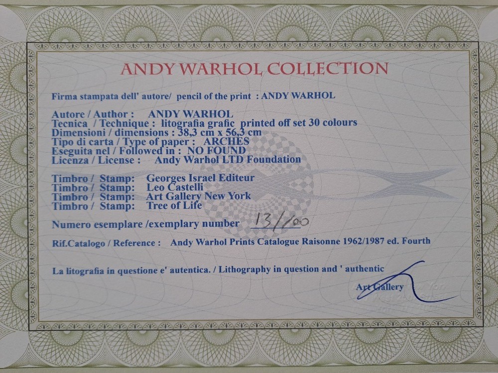 Lithographie Originale Signée Andy Warhol - Cat Sam