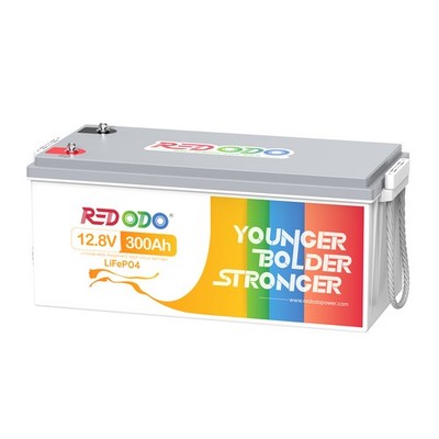 Redodo 12V 300Ah LiFePO4 Lithium Batterie 4000 Zyklen Solarbatterie Wohnmobil