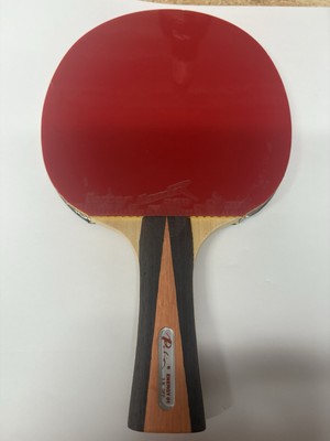 Tischtennisschläger PALIO Energy 01, Reactor Corbor Beläge NEU 