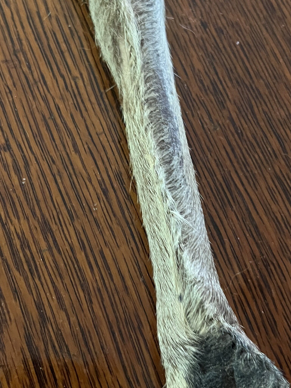 Picture 4 of 7