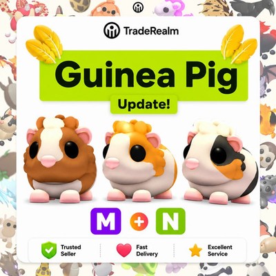 Adopt me GUINEA PIG UPDATE Chocolate Dutch & Red Dutch & Tortoiseshell Pigs
