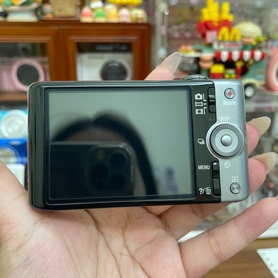 SONY Cyber Shot DSC-WX100 40x Digital Camera 18.2MP Silver 95% NEW