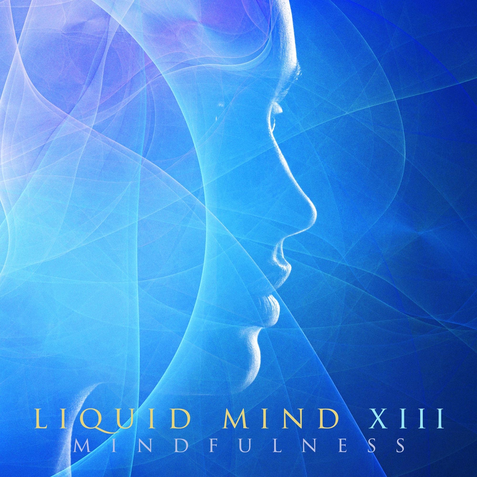 Liquid Mind Liquid Mind XIII: Mindfulness (CD)