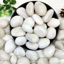Natural Polished White Pebbles - Smooth White River Rocks for Plants