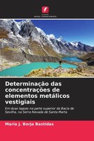 MaríA J. Borja Bastidas | DeterminaçãO Das ConcentraçõEs De Elementos...