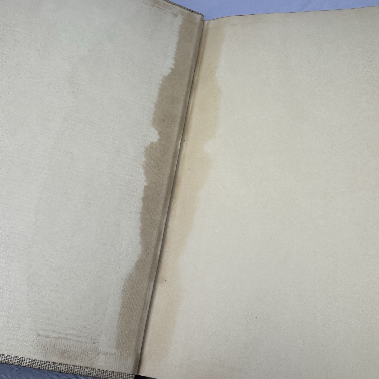 Antique 1937 First Edition The Complete Etchings Of Rembrandt Art Book No DC