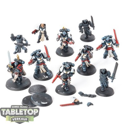 Black Templars - 10x Primaris Crusader Squad - teilweise bemalt