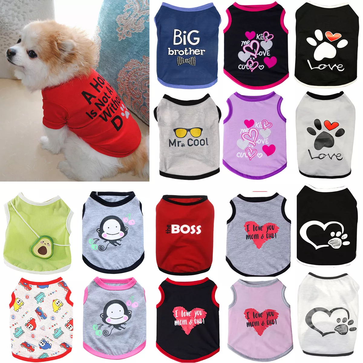 Cute Girl Dog Clothes