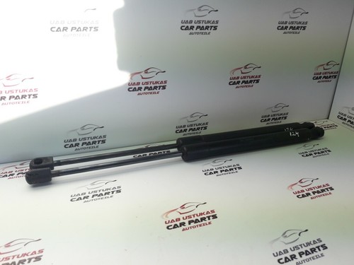 Volkswagen Golf V 2006 Set Stoßdämpfer Kofferraumklappe 1K6827550F GUST7196