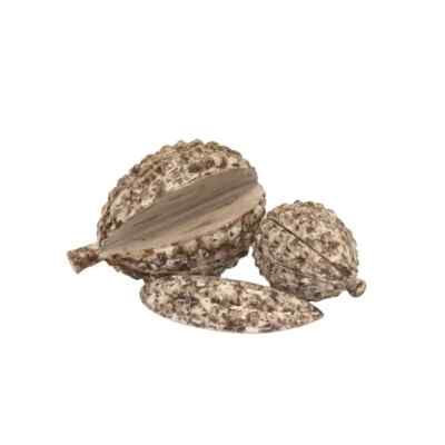 New from Bliss Studio Decorative Fruit and Slice Sculpture
