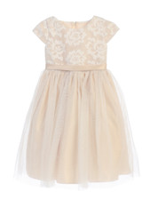 Champagne Flower Girl Floral Sponge Mesh Dress Size 2 Wedding Party Birthday New