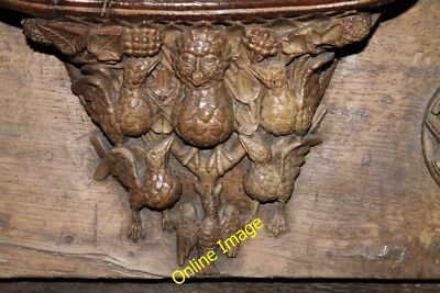 Foto 12x8 Misericord s21, Norwich Cathedral Eine Eule wird von klein angepöbelt c2014