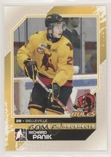2010-11 ITG Heroes and Prospects Richard Panik #15 1z4