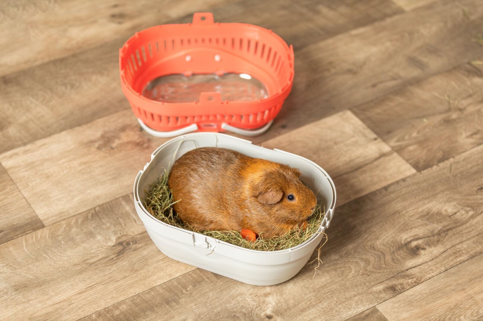 Mini Plastic Rib Pico Transport Crate Small Pet Carrier Portable Travel Hamsters Guinea ...