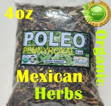 Poleo 4oz Menta poleo Te Mentha pulegium pennyroyal pennyrile penny royal Tea !!