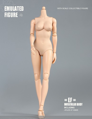 1/6 Large Chest White Skin Female Collagen Body Model 12 "Action Figure - Picture 13 of 24