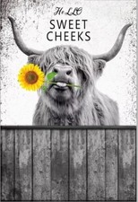 Frameless Highland Cow Bathroom Decor Wall Art Hello Sweet Cow Poster 16"x24"
