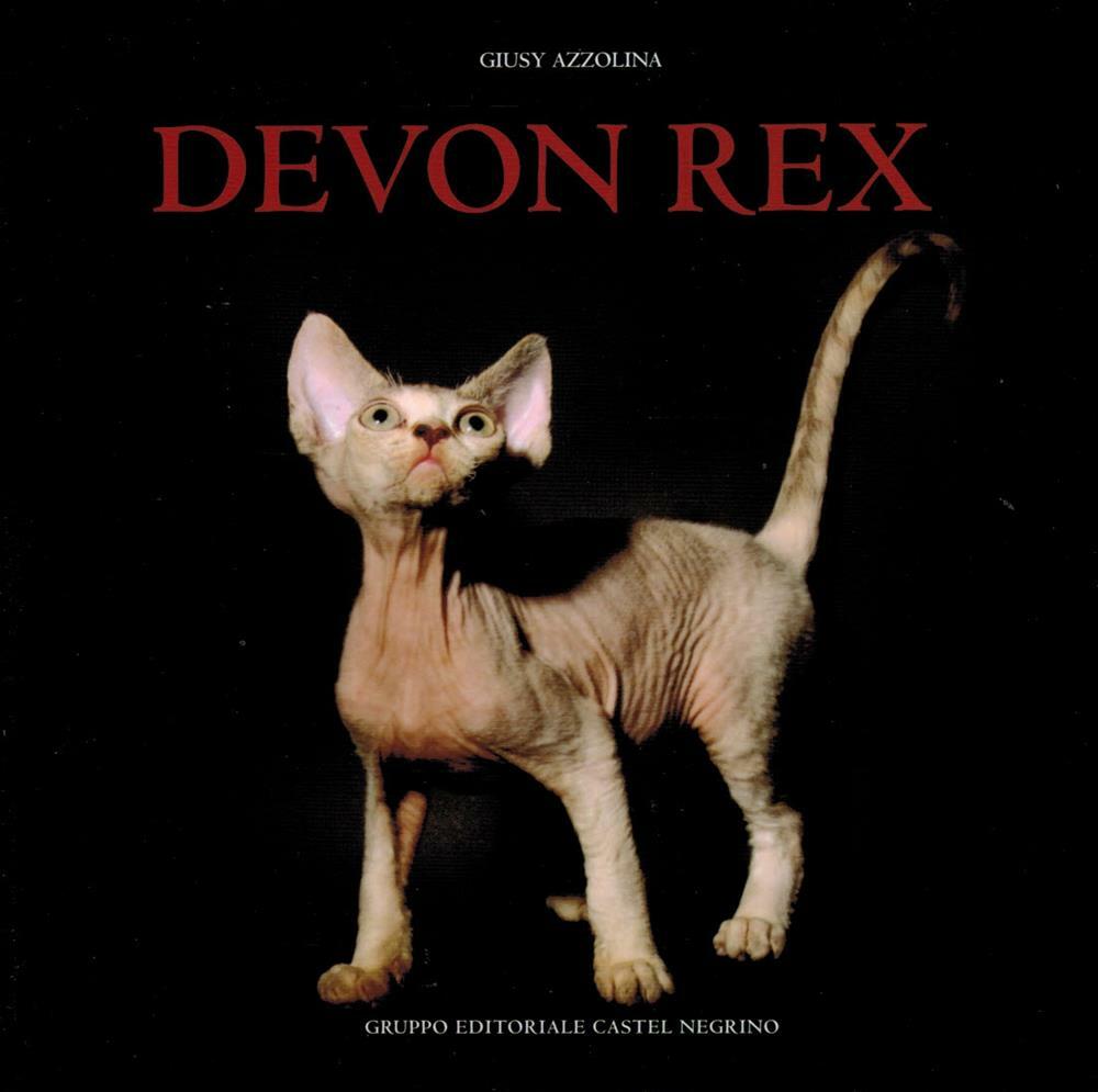 Devon Rex - Azzolina Giusy