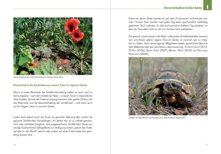 Thumbnail - Der Schildkröten-gärtner - Naturnahe Ernährung Europäischer ...