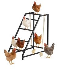 Chicken Perch Swing with Ladder for Coop, Metal Frame Chicken Roosting Bars f...