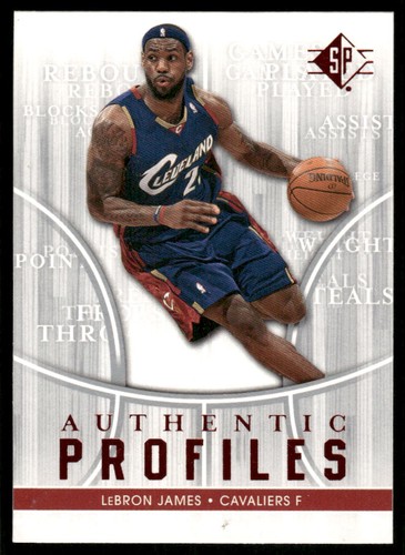LeBron James #AP-24 2008 SP Authentic Authentic Profiles card