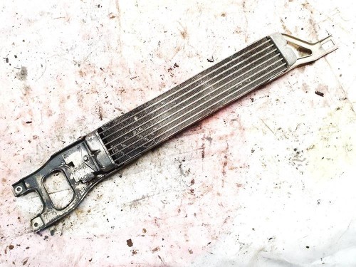 Mercedes-Benz A-CLASS 2009 Air Conditioning Condenser a1695000400, #1760405-17