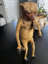 Small Taxidermy Monkey