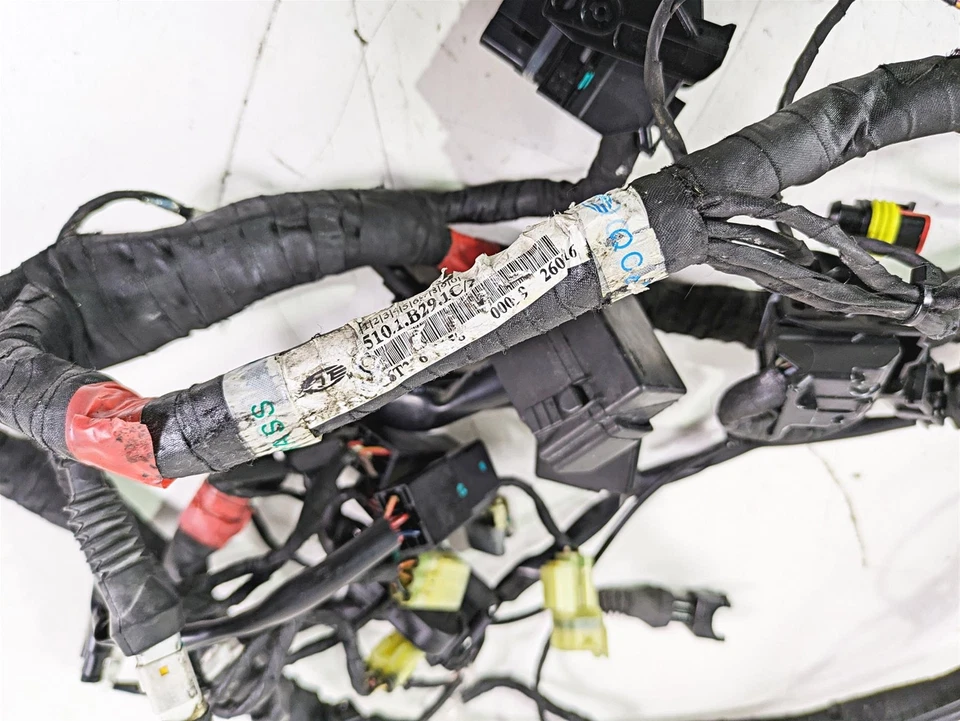 Ducati Monster 1200 S 2017 arnés de cableado principal telar sin cortes 5101B291C Foto 2 de 4