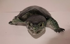 AAA Realistic PVC Big Headed/Snapping Turtle