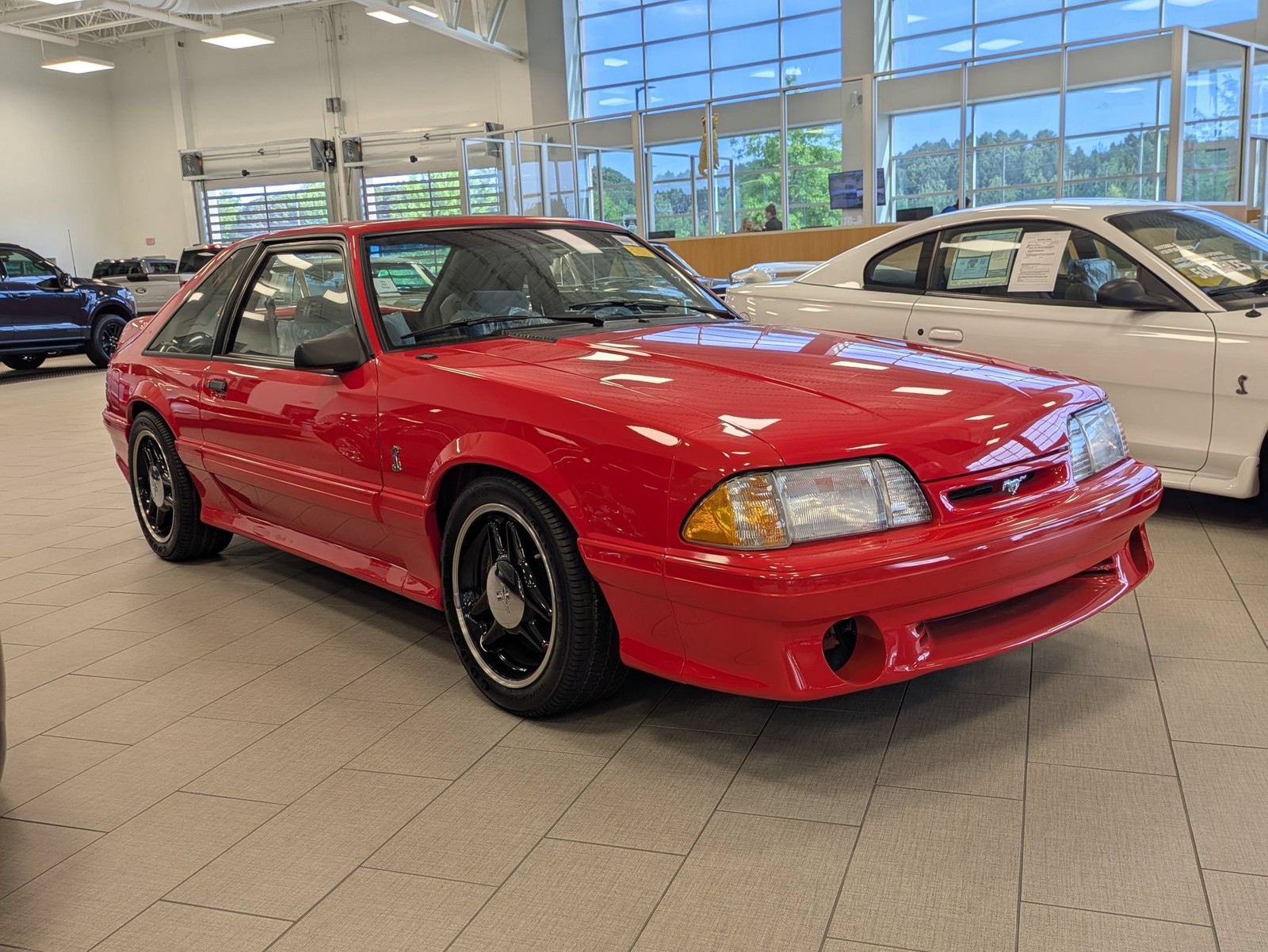 1993 Ford Mustang for sale in Apex North Carolina