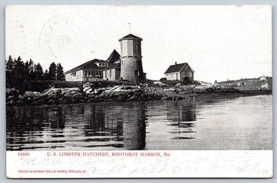1905 U.S. Lobster Hatchery Boothbay Harbor Maine Postcard G.W. Morris C422
