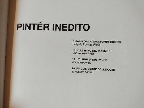 PINTÉR INEDITO FERENC PINTER LO SCARABEO TIRATURA LIMITATA 560 ESEMPLARI #311 - Foto 9 di 12