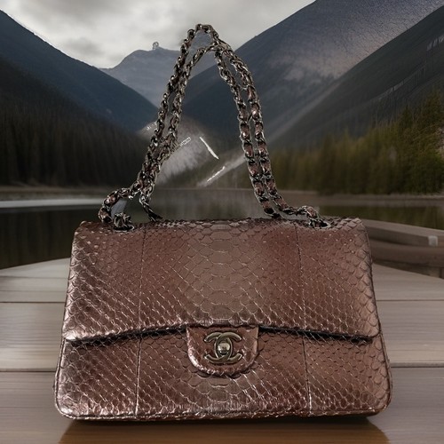 Rare Chanel Iridescent Bronze Python Timeless Classic Double Flap Bag