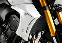 KüHlerseitenverkleidung FüR Yamaha FZ8 2010-2016 RN25 Bodystyle