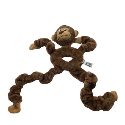 Animal Planet Amazing Plush Racoon Dog Toy w/ Squeakers Soft Cozy Fur NEW!  | eBay