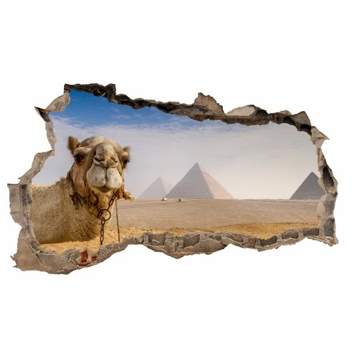 Wall Hole Camel Wall Decal 100x60cm Sticker Living Room Bedroom WL45
