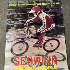 eBay Auction Picture