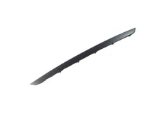 Genuine Mopar Fascia Applique 68402077AA