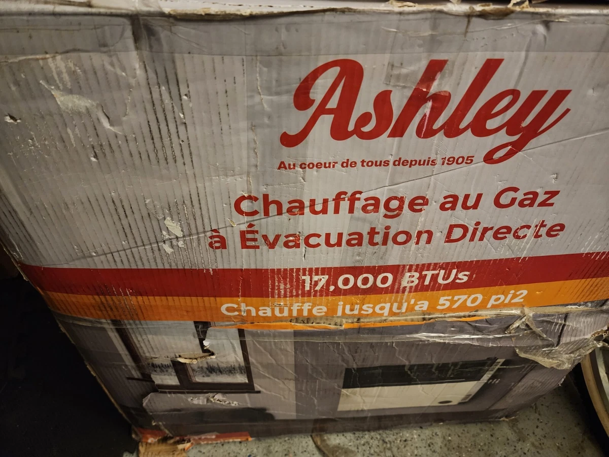 Ashley Hearth 17,000 BTU Direct Vent Propane Heater - Small Bent In Front  12685003566 | eBay