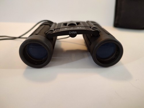 Bushnell Compact 8 X 21 With Case, 378 FT at 1000 Yards - Picture 7 of 7