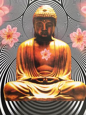 洋書 Buddha: 2000 Years of Buddhist Art 洋書 Buddha: 2000 Years of Buddhist Art 洋書 Buddha: 2000 Years of