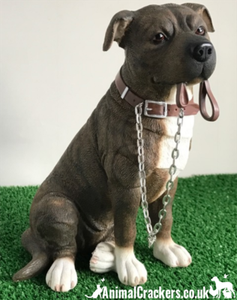 leonardo staffordshire bull terrier