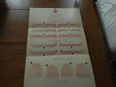SEALON SELECT-O-CHART UPPER & LOWER LABIO-BUCCAL PATTERNS