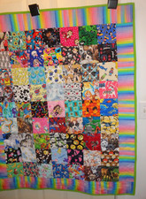 Finished quilt 38.5 w x 48 l, I spy squares, painting tigers, Holiday present
