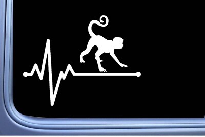 Spider Monkey Lifeline Os 444 vinyl 6'' Decal Sticker capuchin